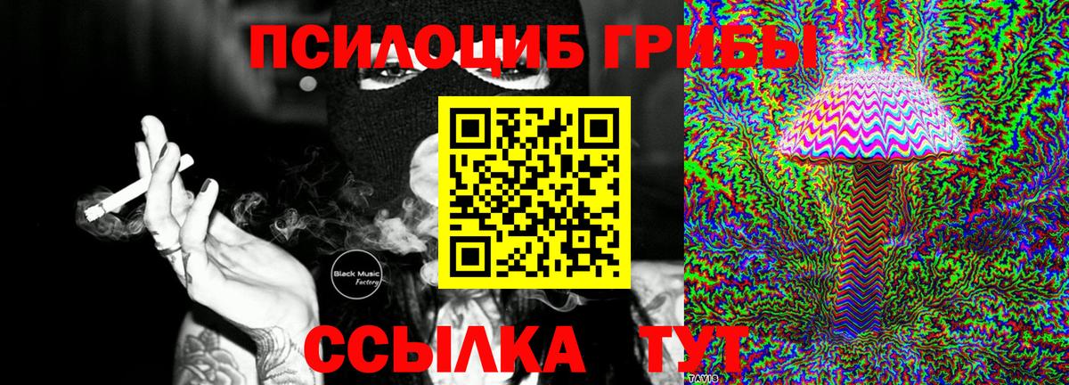 Галлюциногенные грибы мухоморы  Вход с VPN  Сегежа 